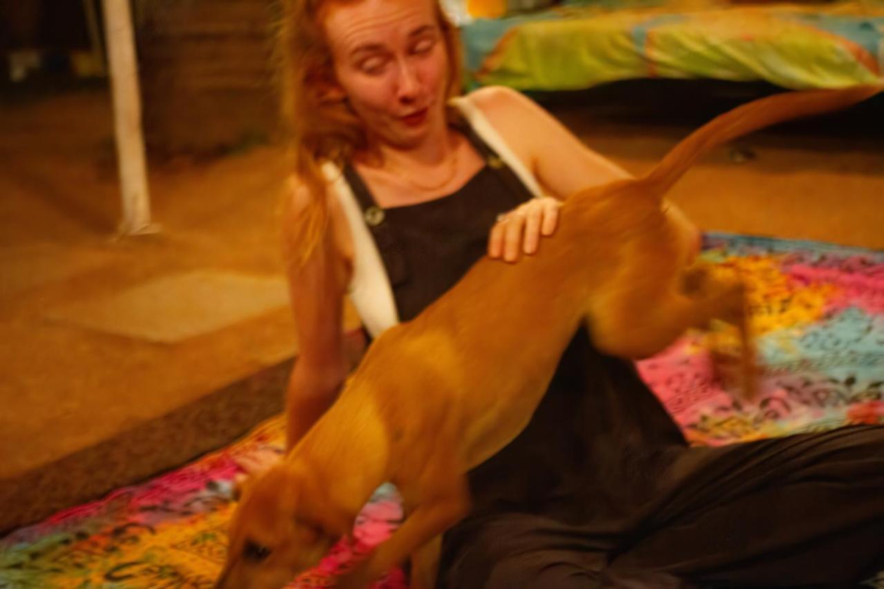 Spirithouse Hostel อารัมบล ภายนอก รูปภาพ